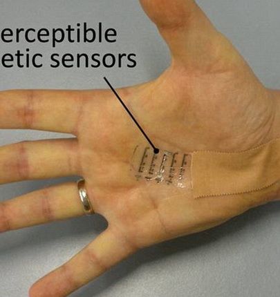 Прототип электронной кожи позволит людям воспринимать магнитные поля на ощупь