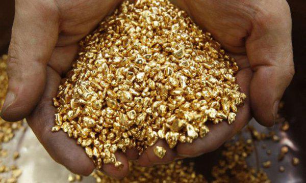 Крупнейшие месторождения золота созданы бактериями — Ученые