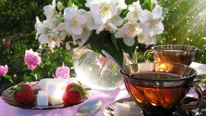lime_flower_and_tea_nature_outdoors_vase_sun_2560x1440_hd-wallpaper-989327